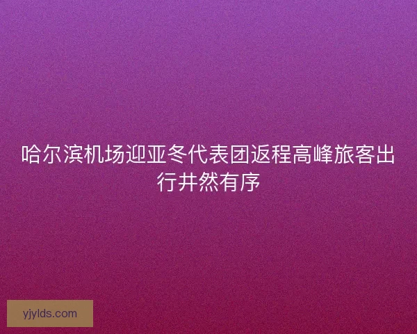 哈尔滨机场迎亚冬代表团返程高峰旅客出行井然有序